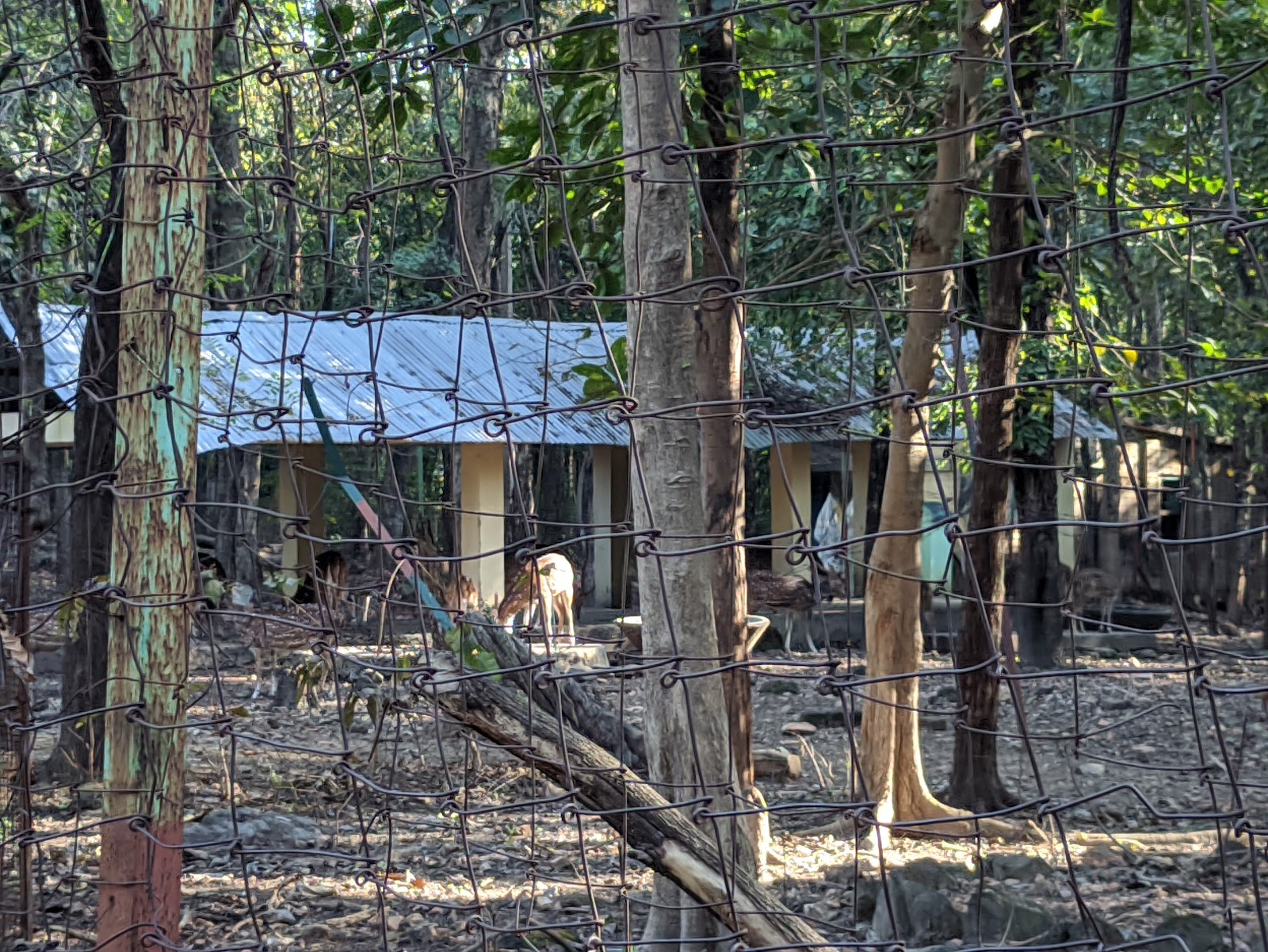 Gongajolghati Deer Park