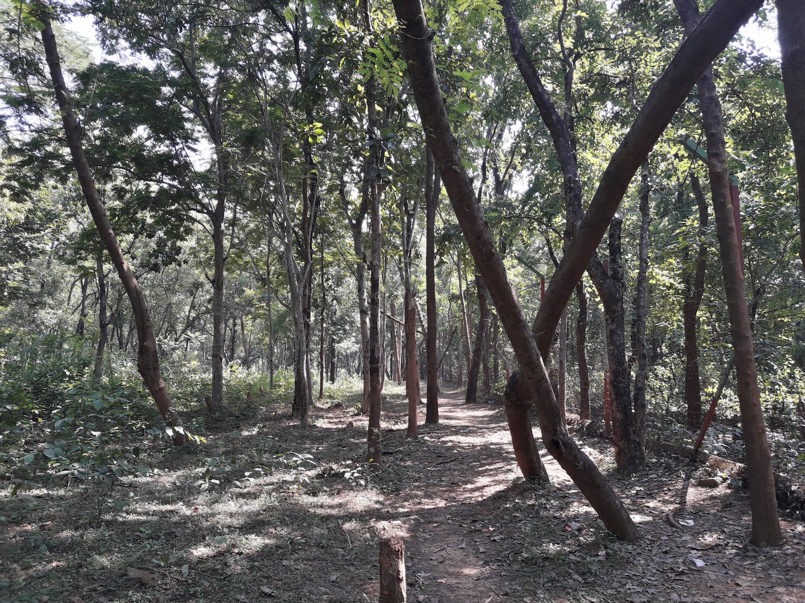 Gongajolghati Deer Park