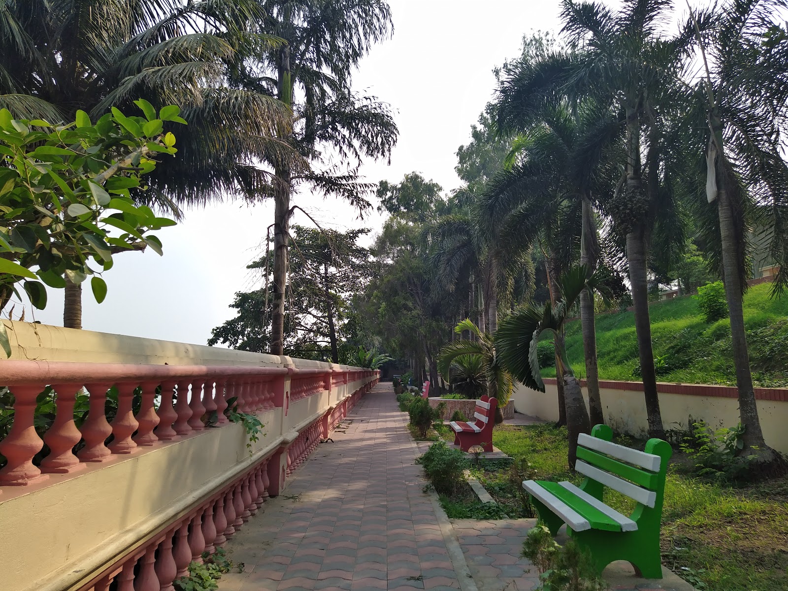 Banyan Park