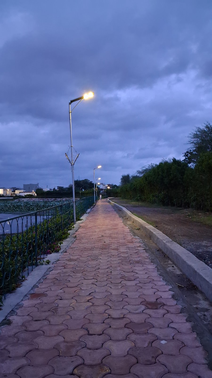 Sunset Point Near Mahi