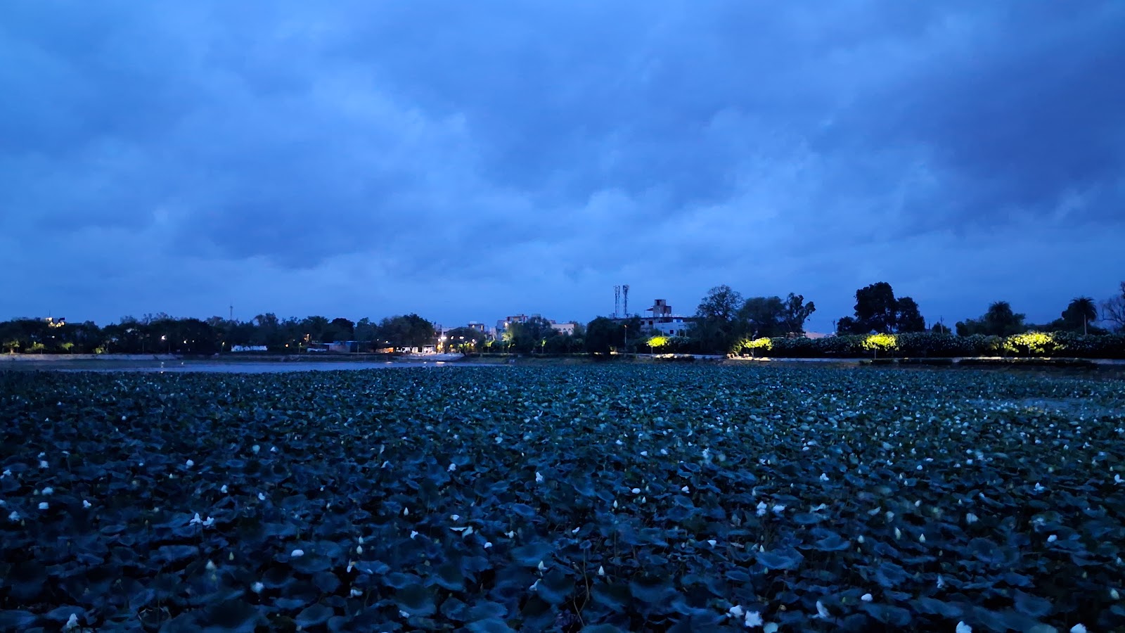 Sunset Point Near Mahi