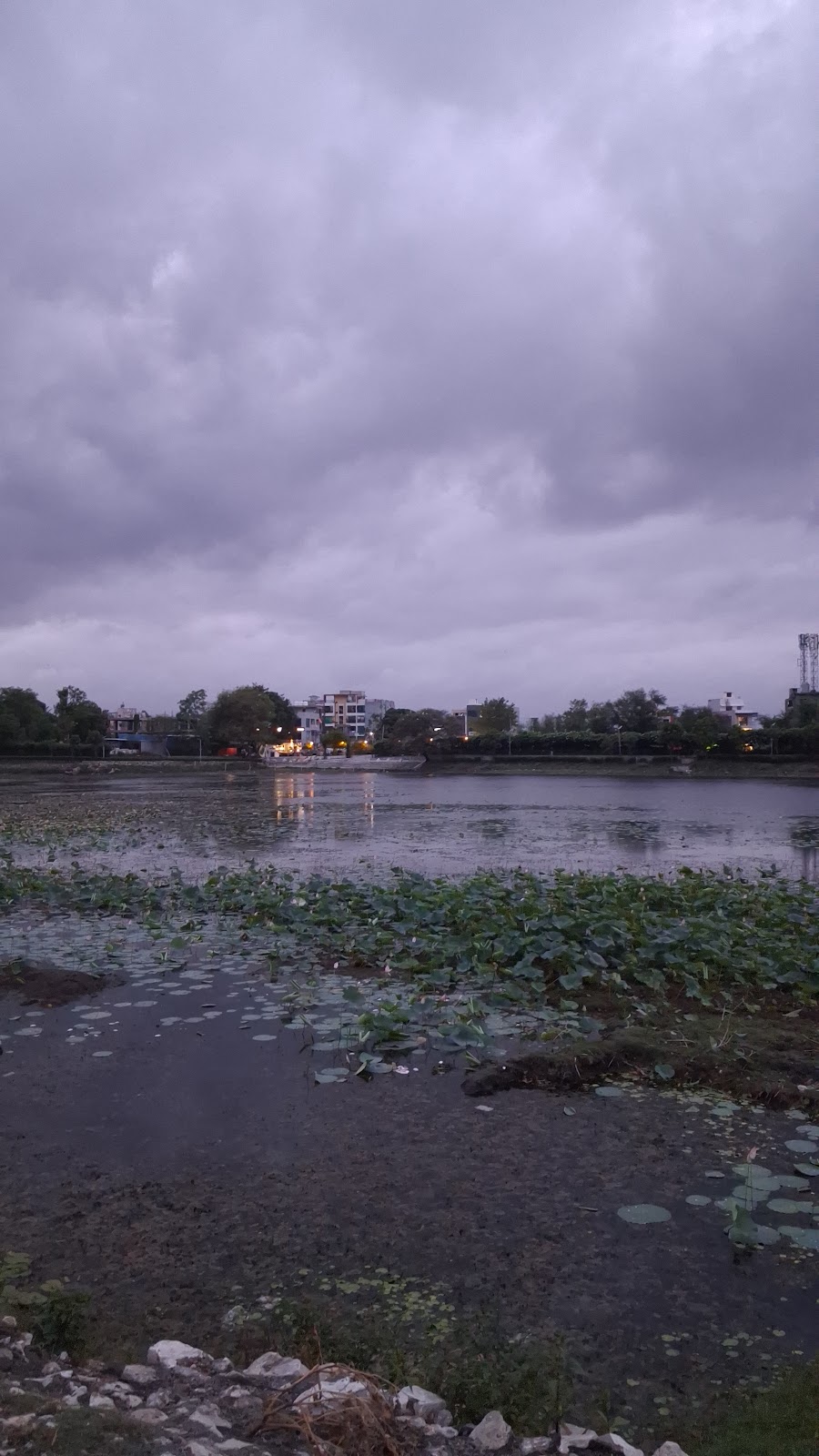 Sunset Point Near Mahi