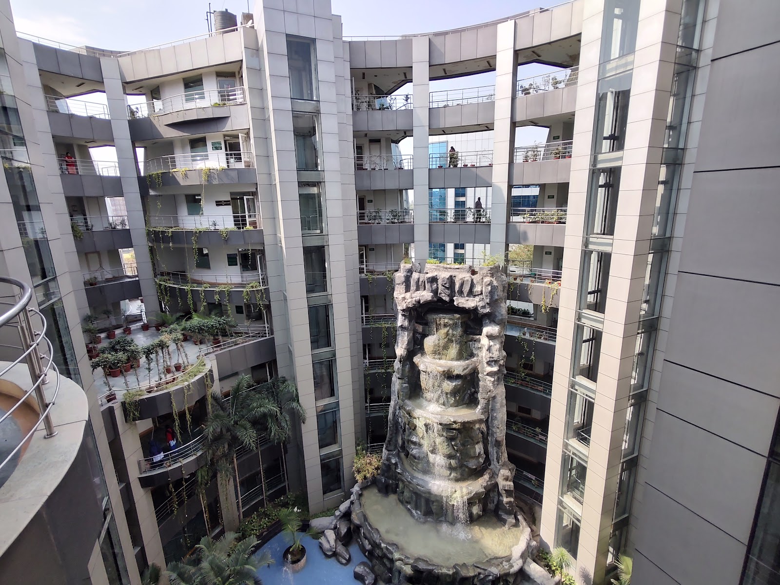 Minor Forest Patch Banur Punjab India