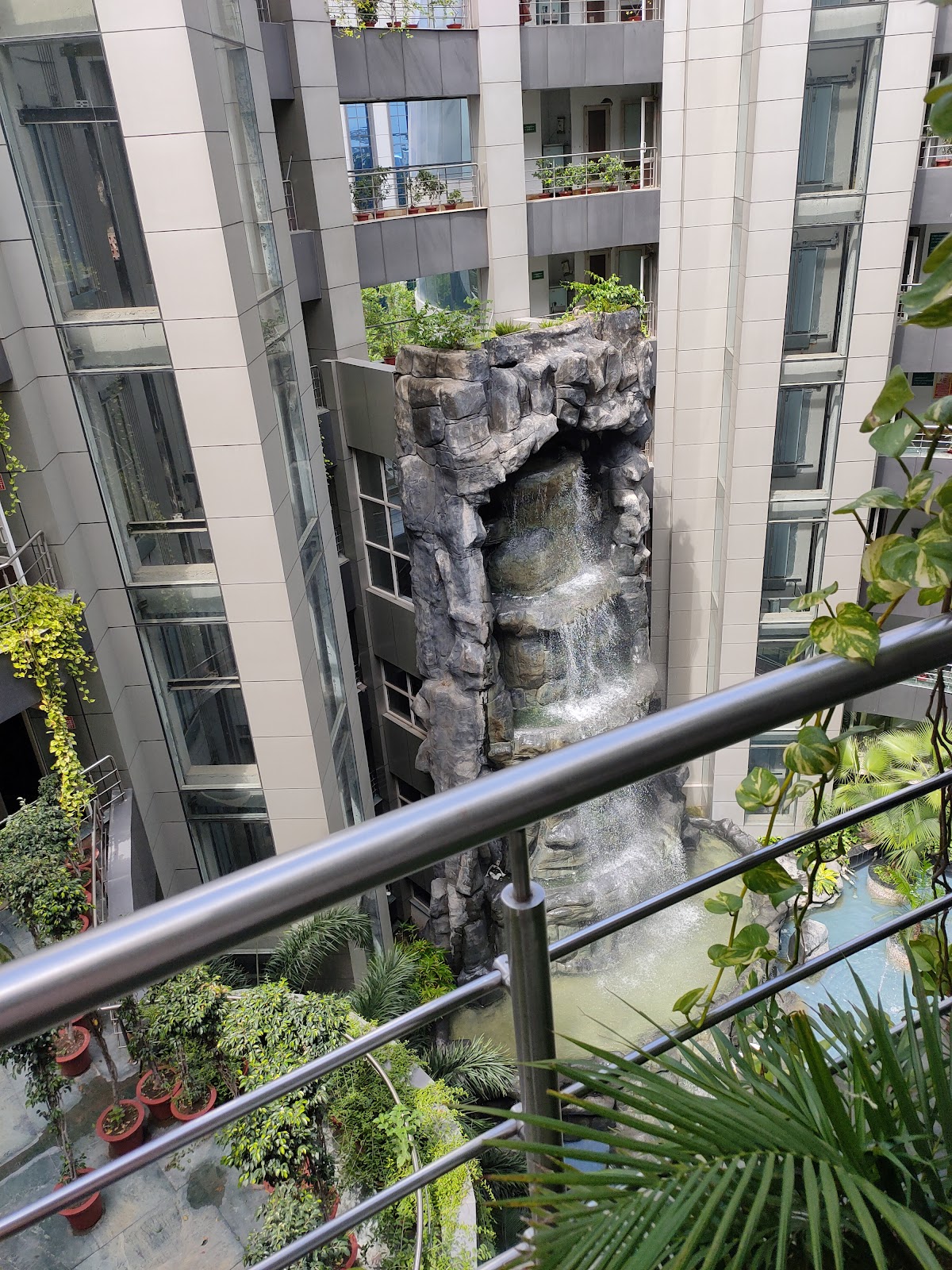 Minor Forest Patch Banur Punjab India