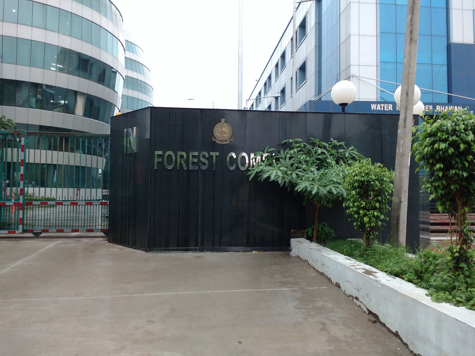 Minor Forest Patch Banur Punjab India