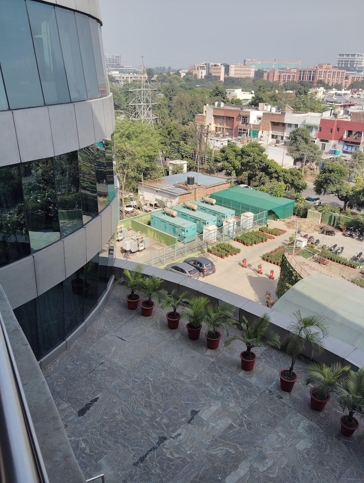 Minor Forest Patch Banur Punjab India