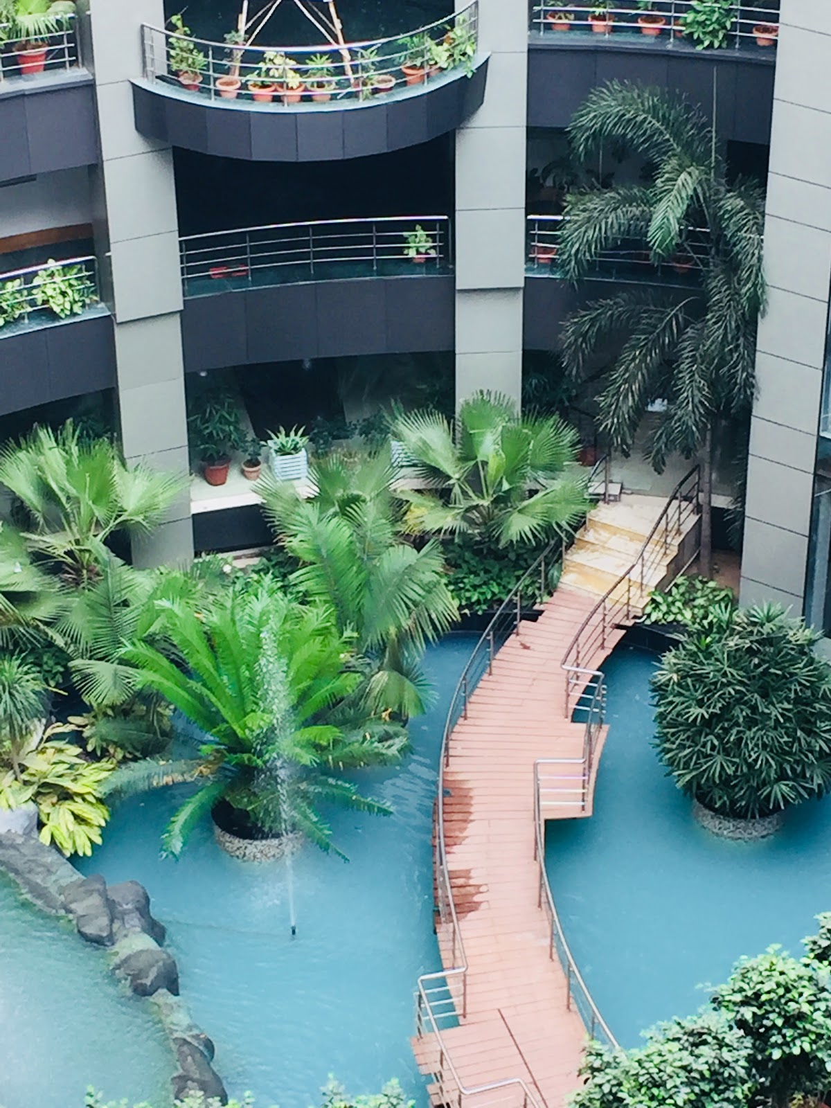 Minor Forest Patch Banur Punjab India