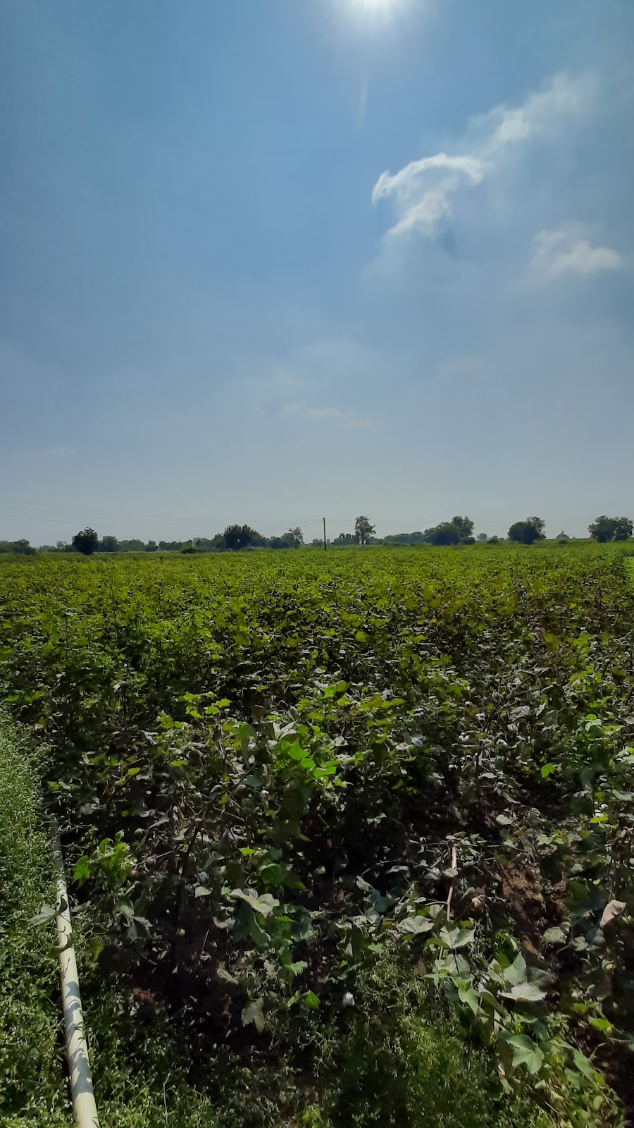 Baranjala, Maharashtra - A Hidden Gem