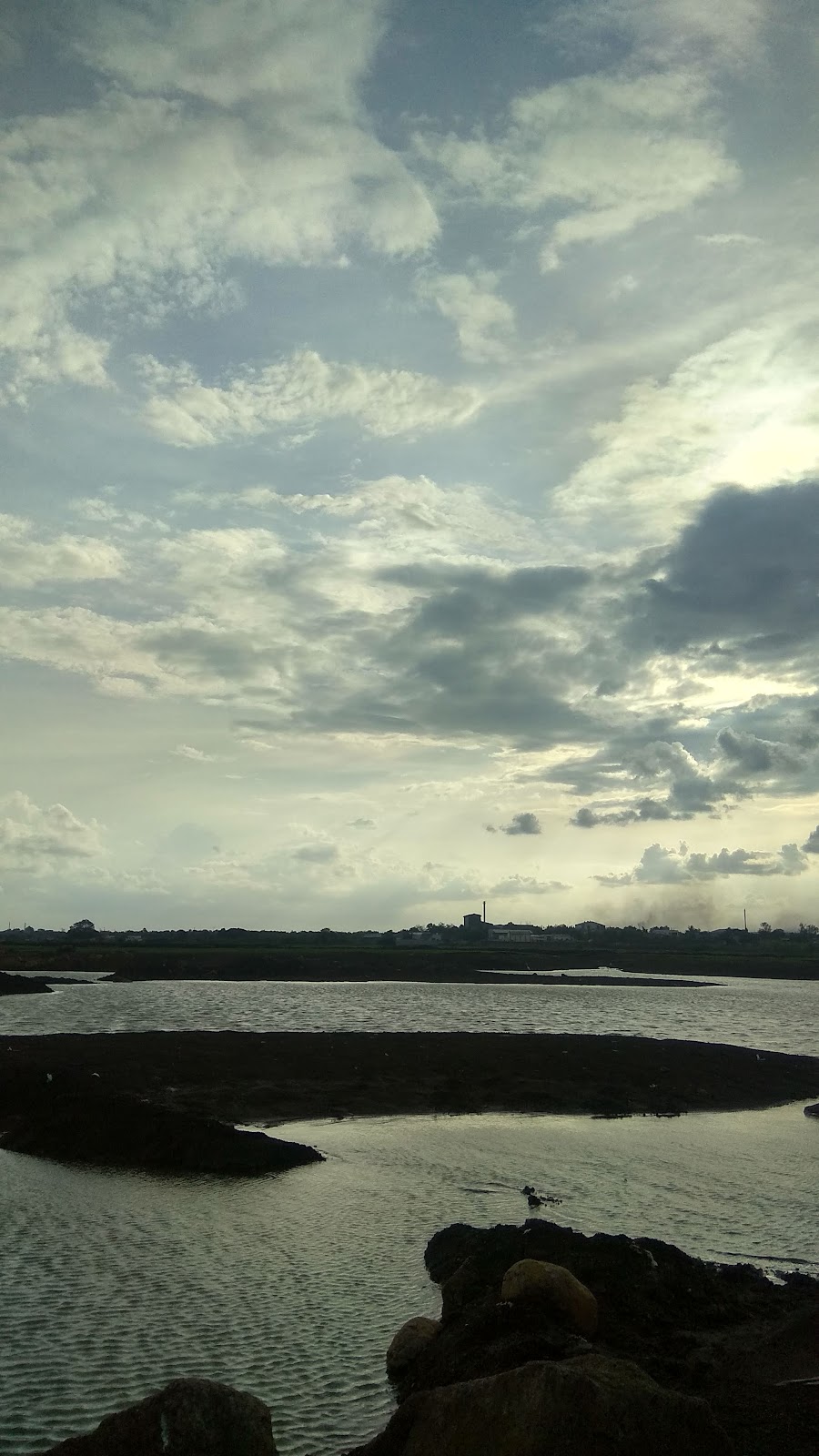 Riverbank Picnic Groves