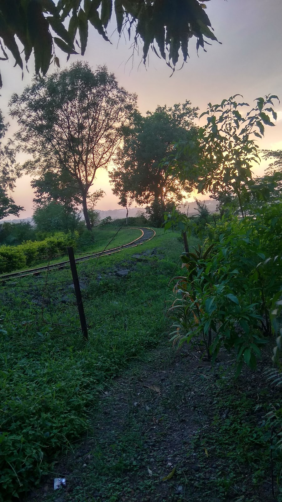 Riverbank Picnic Groves