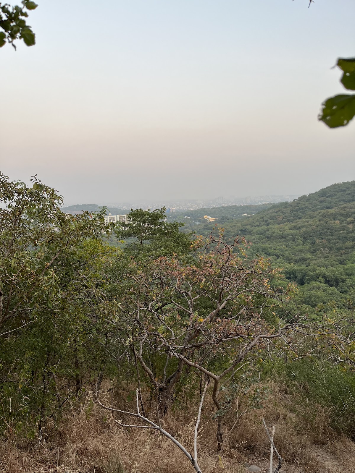 Vetal Hill Viewpoint