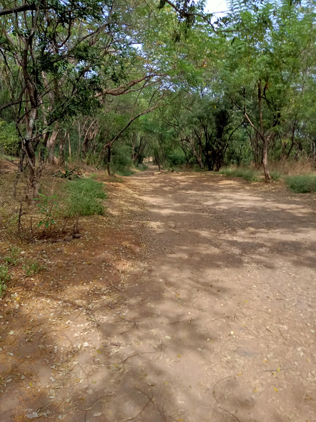 Vetal Hill Viewpoint