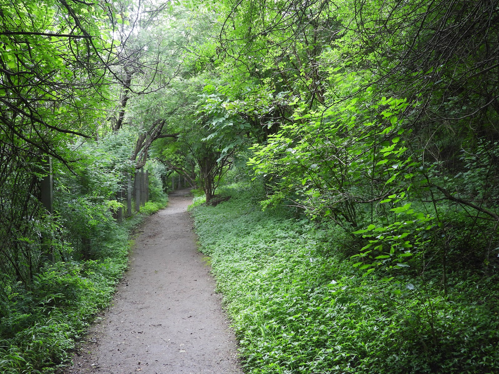 Vetal Hill Viewpoint