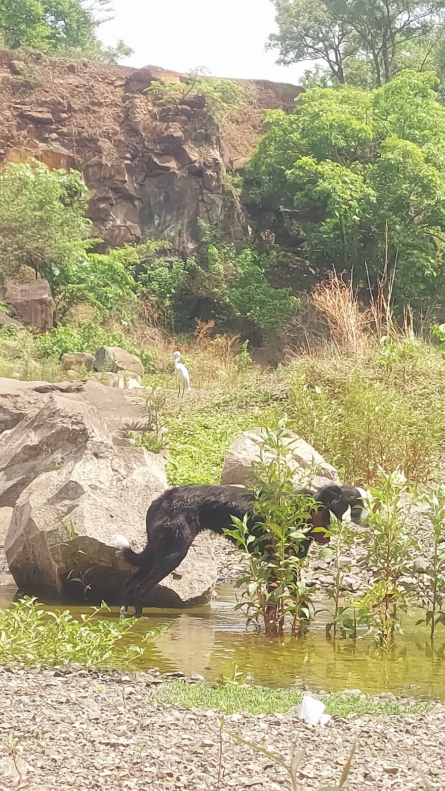 Vetal Hill Viewpoint