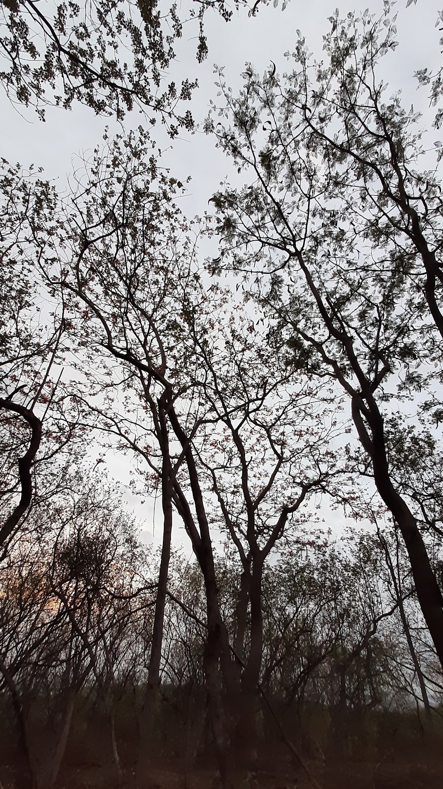 Vetal Hill Viewpoint