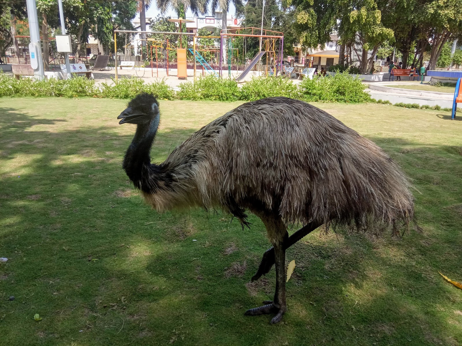Children Park and Recreation Ground