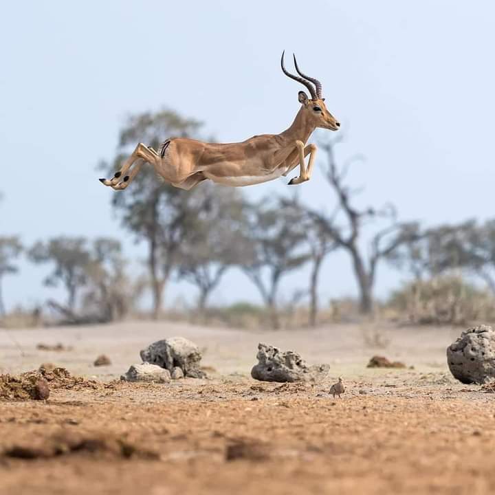 Desert National Park