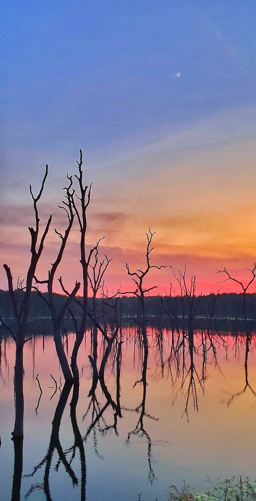 Barnawapara Wildlife Sanctuary - Nature and Wildlife in Chhattisgarh