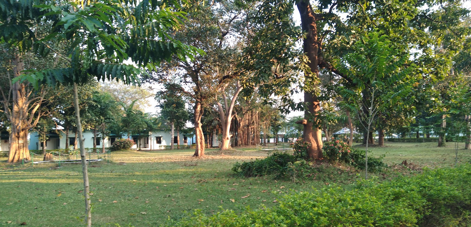 Barnawapara Wildlife Sanctuary