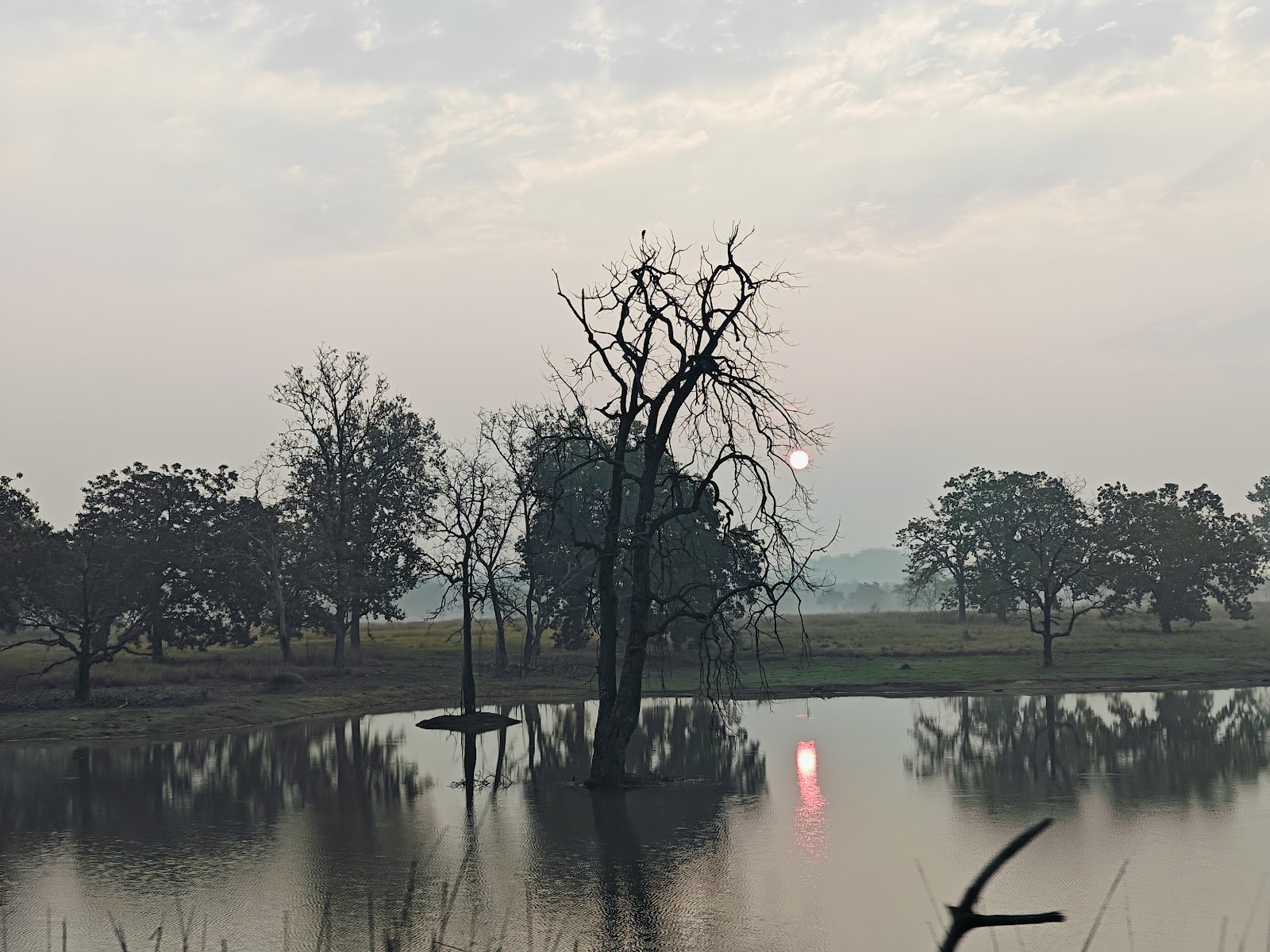 Barnawapara Wildlife Sanctuary