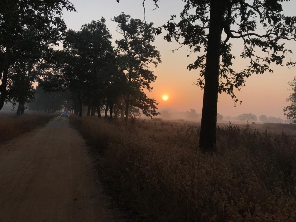 Barnawapara Wildlife Sanctuary