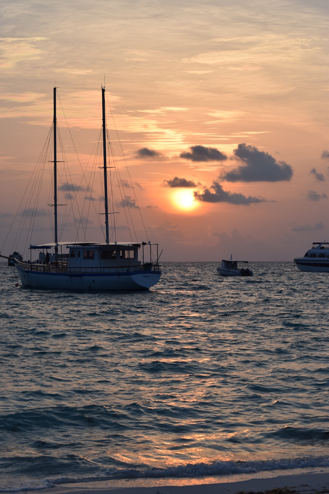 Barren Island Coral Reefs