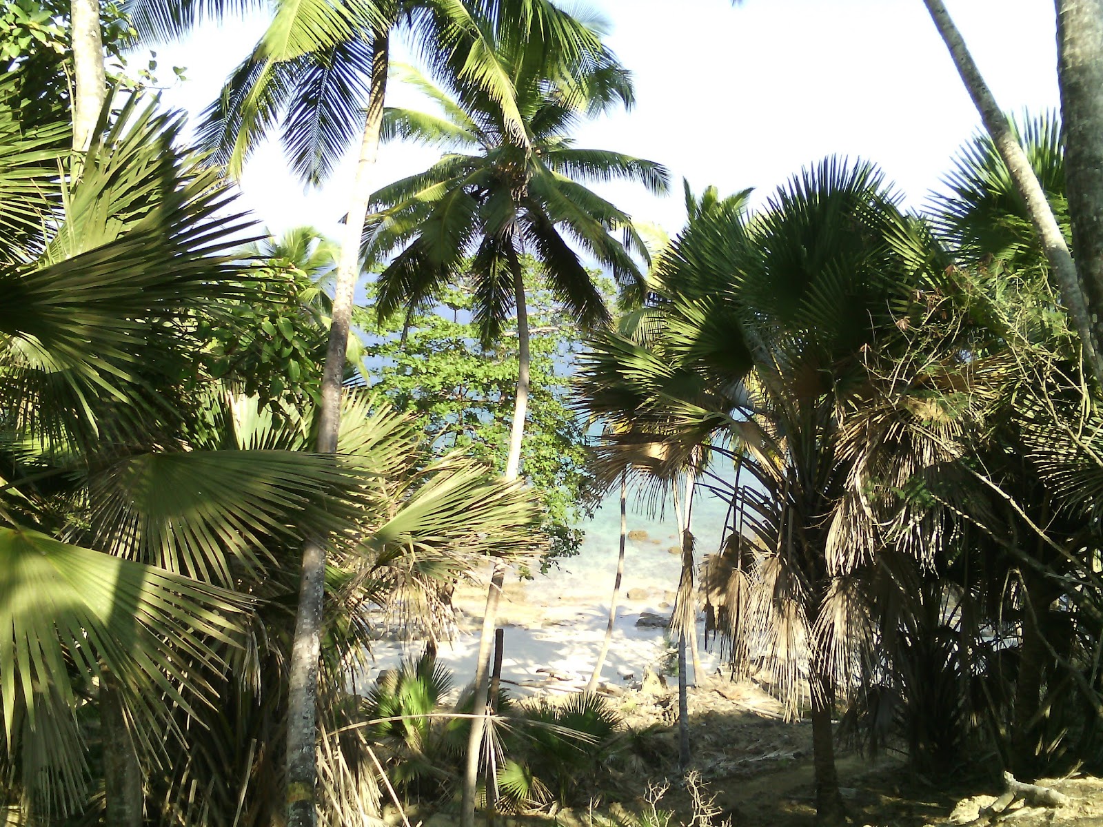 Historic Survey Beacon