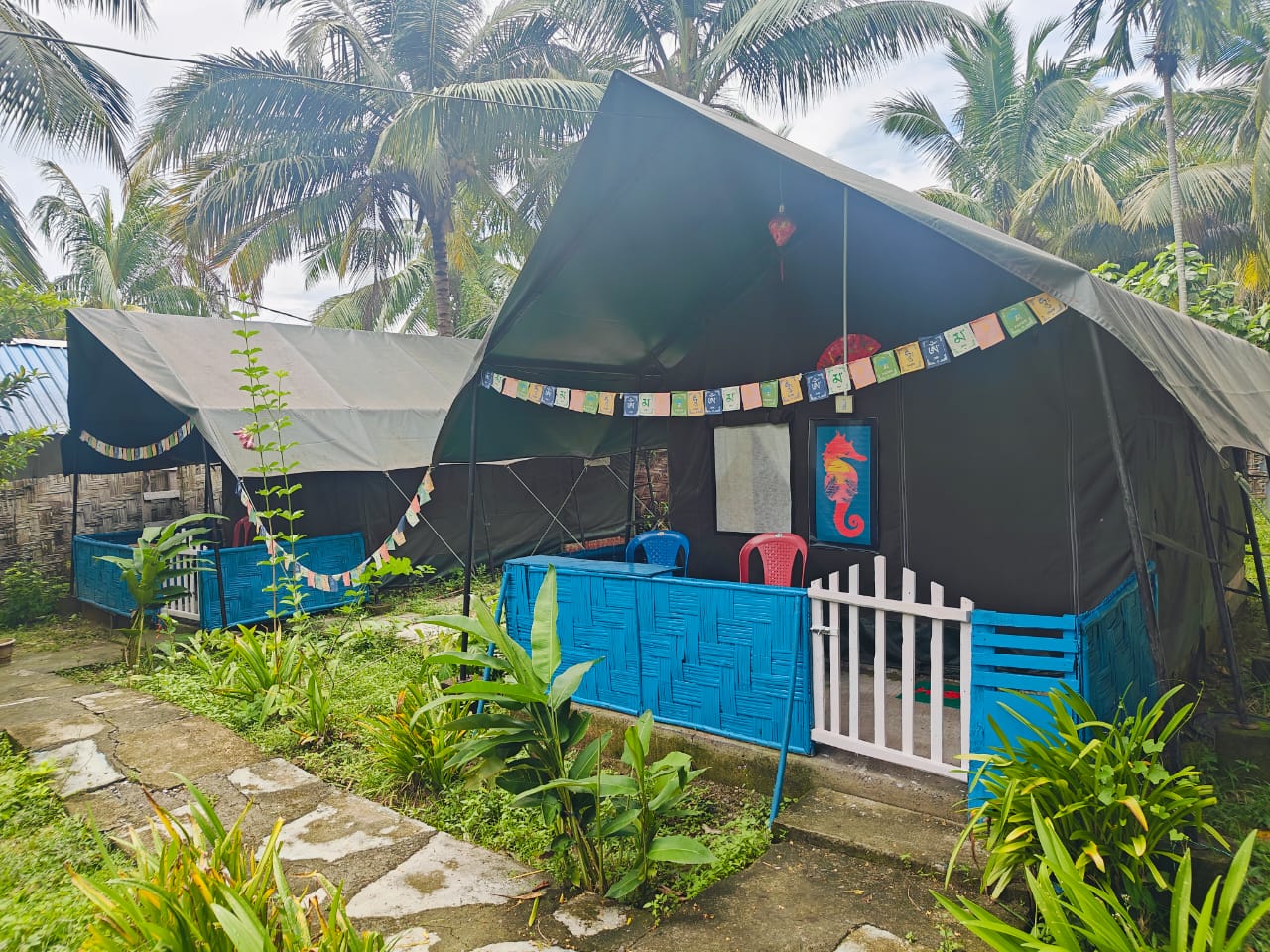 Manta Ray Cleaning Station