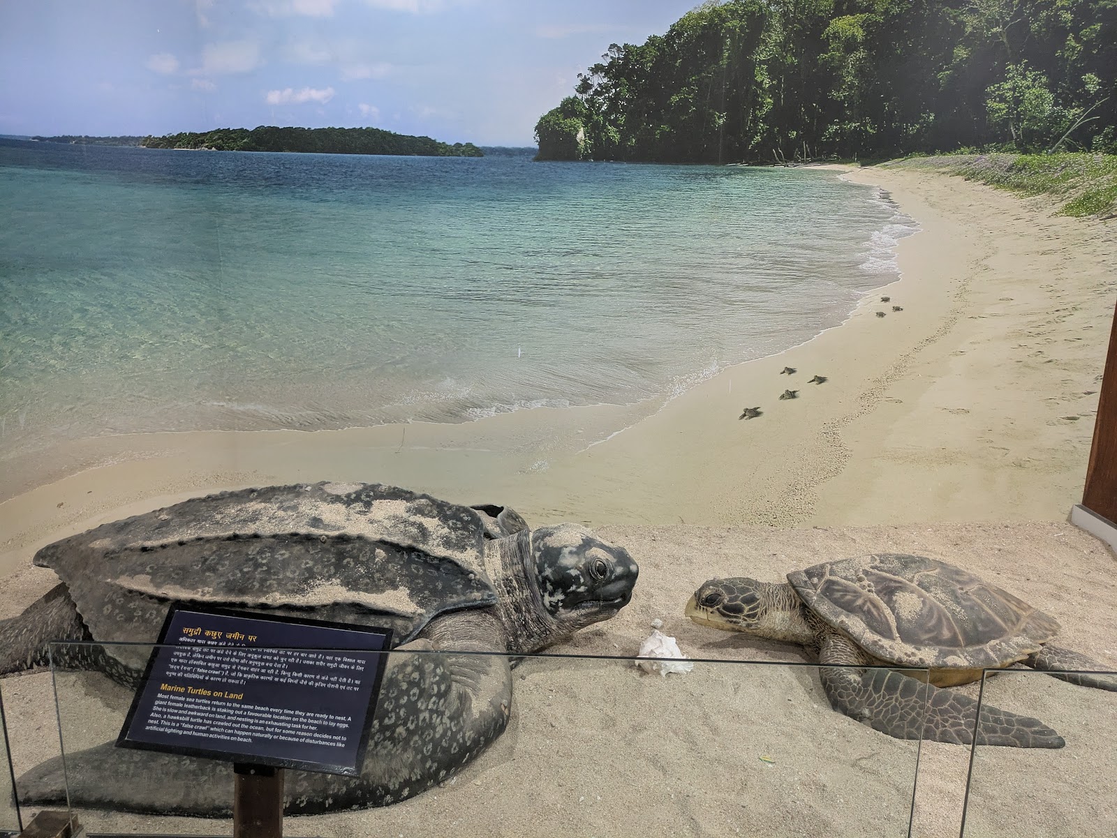 Marine Biodiversity Zone