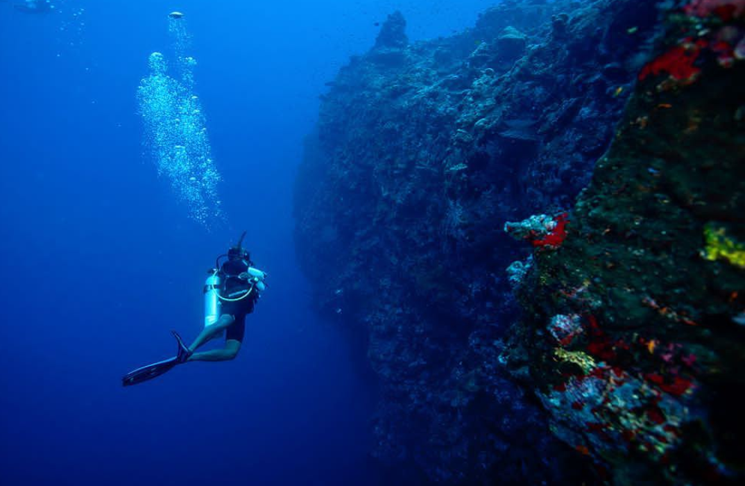 Underwater Pinnacles