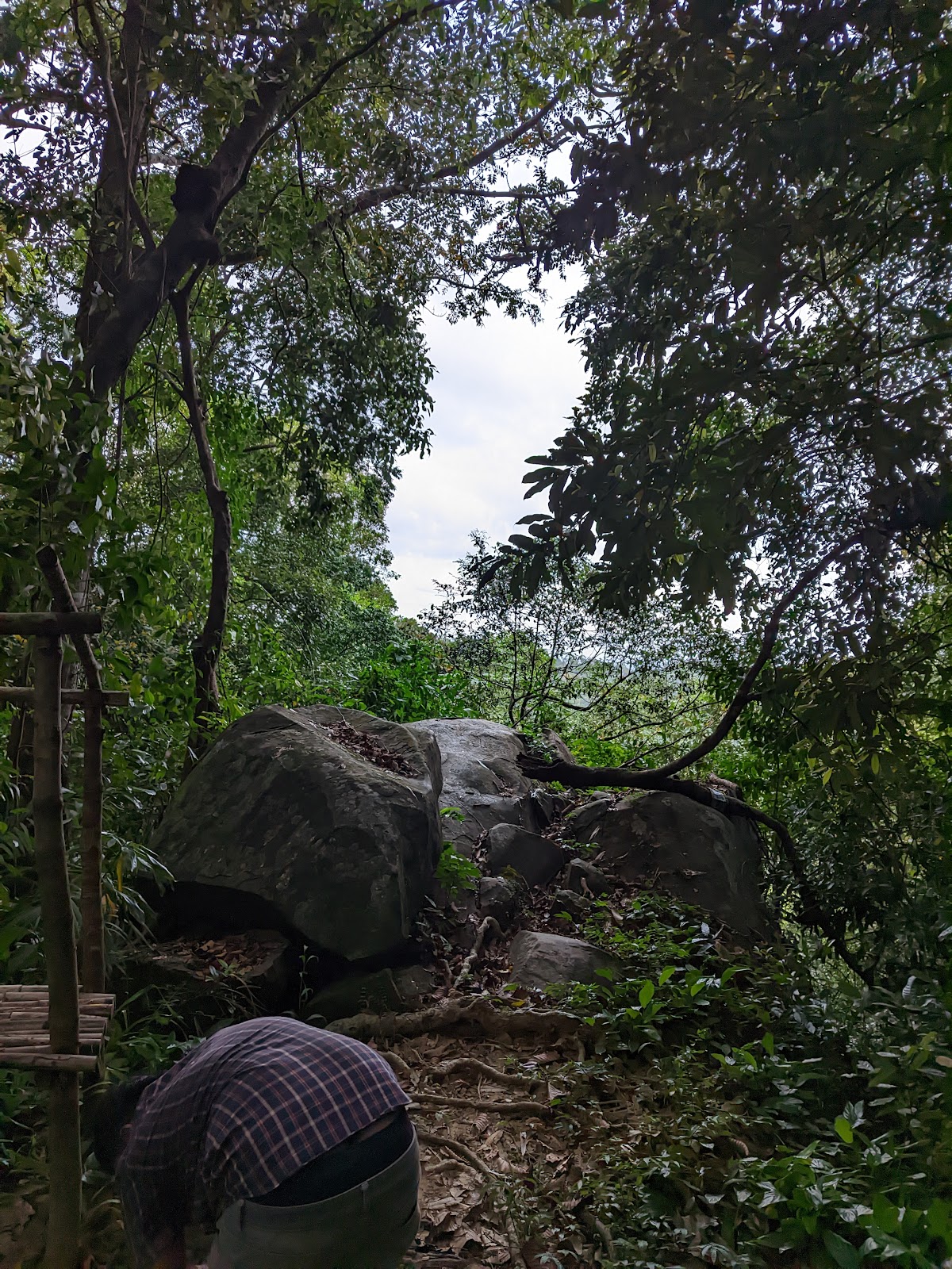 Volcanic Crater Viewpoint