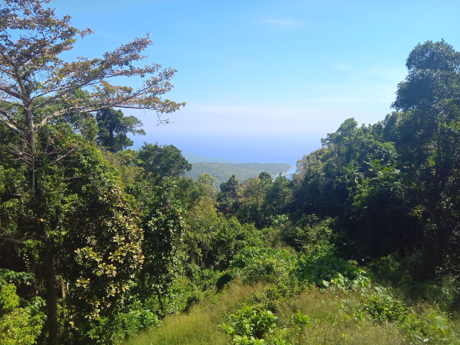 Volcanic Crater Viewpoint