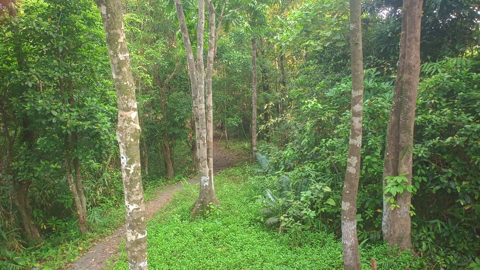 Volcanic Crater Viewpoint