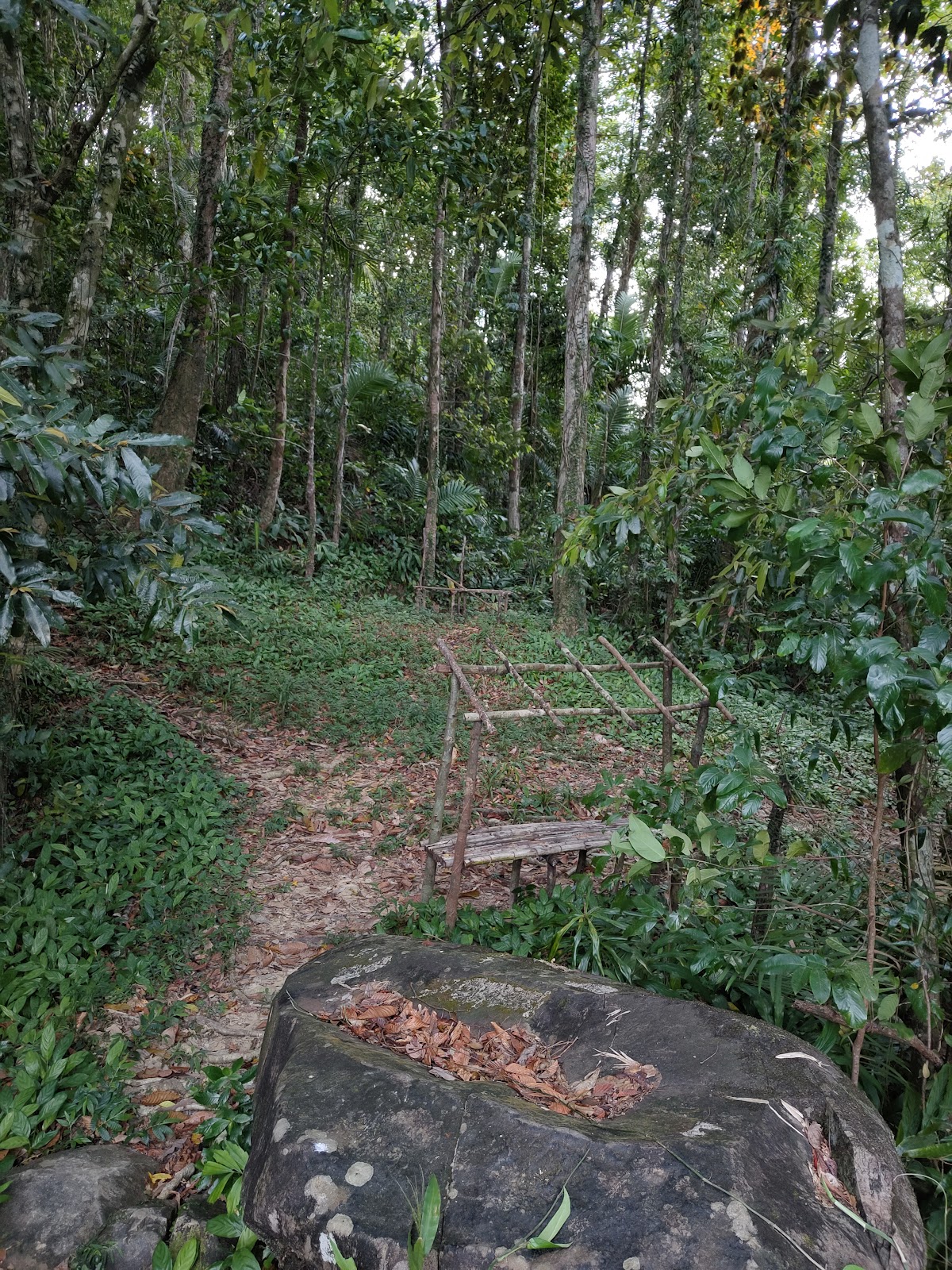 Volcanic Crater Viewpoint