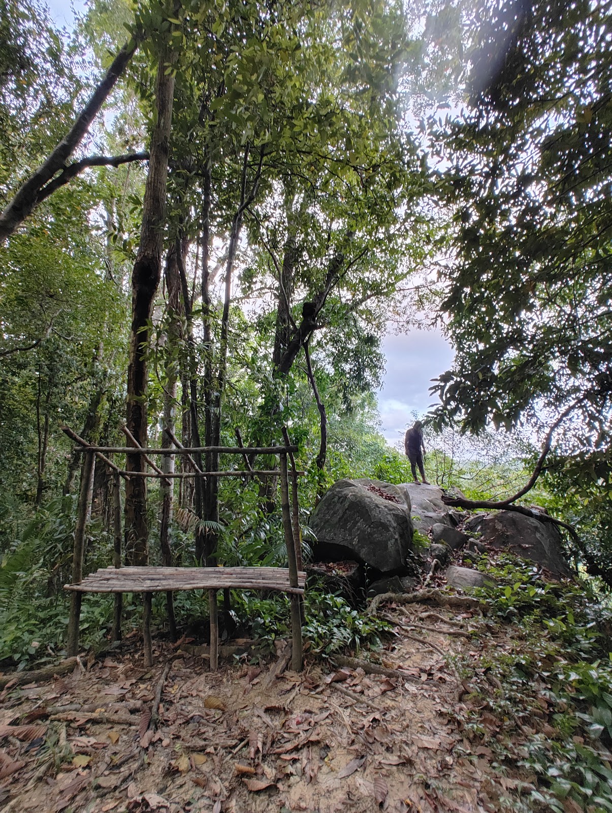 Volcanic Crater Viewpoint
