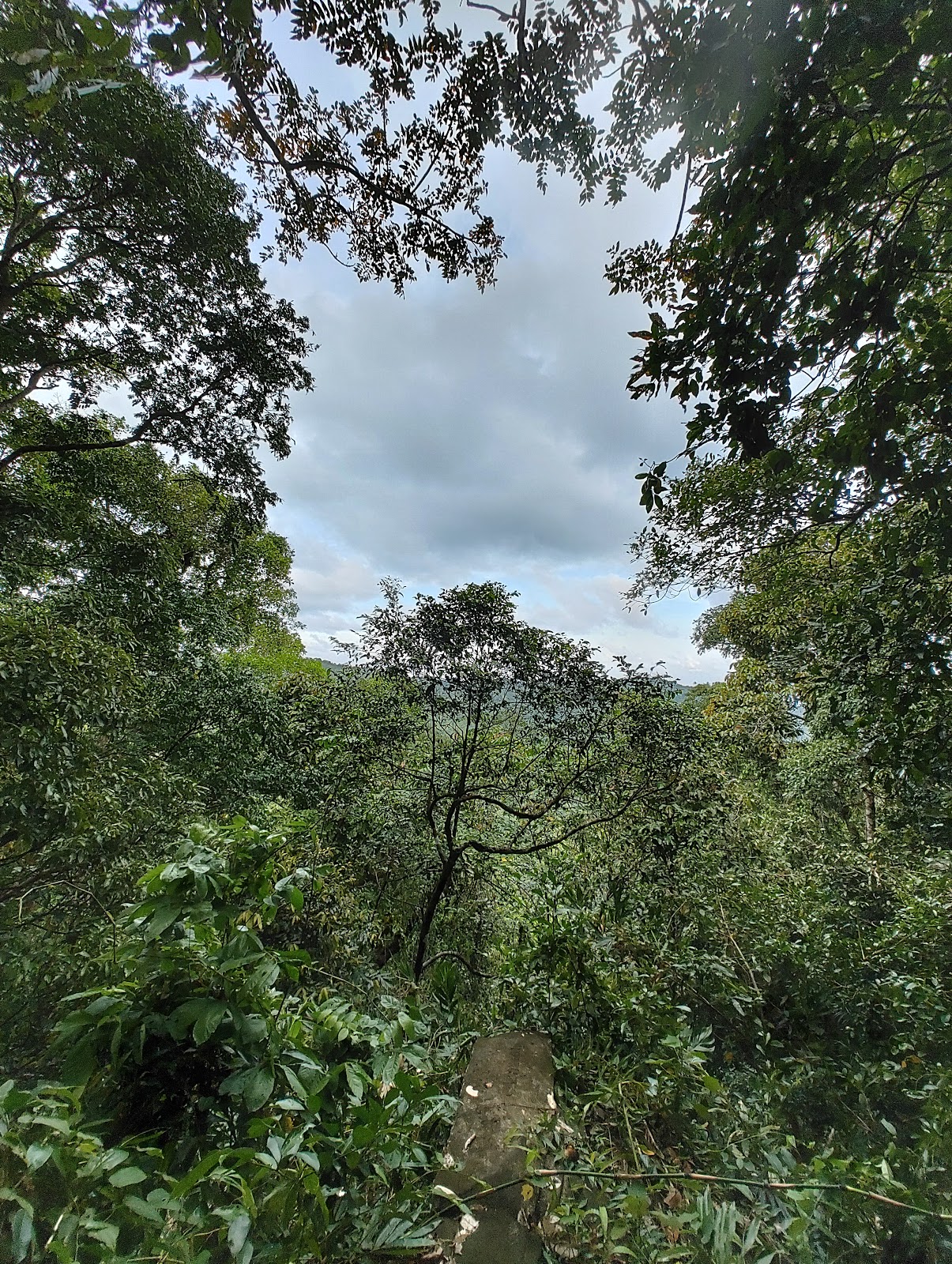 Volcanic Crater Viewpoint