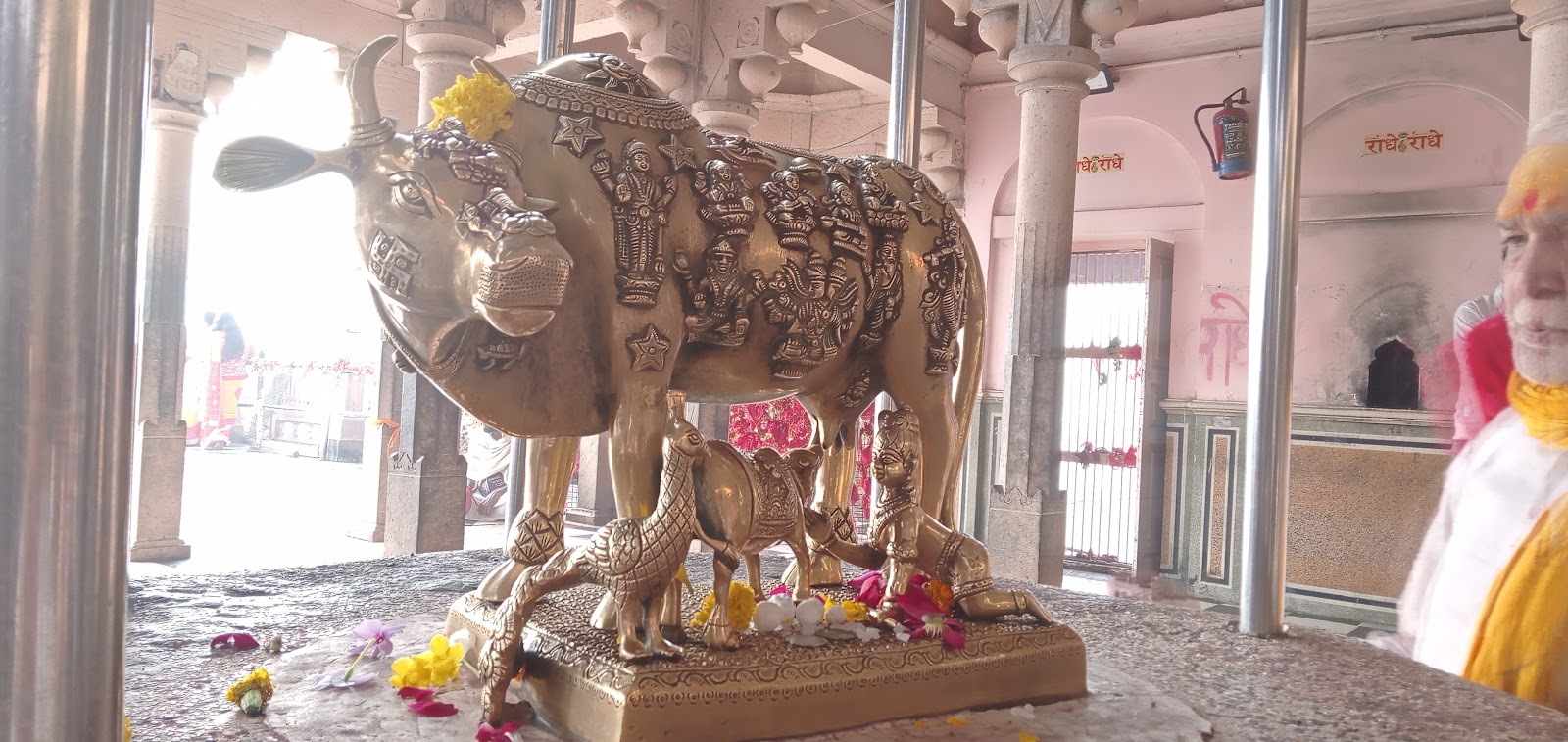 Holi Celebration Grounds