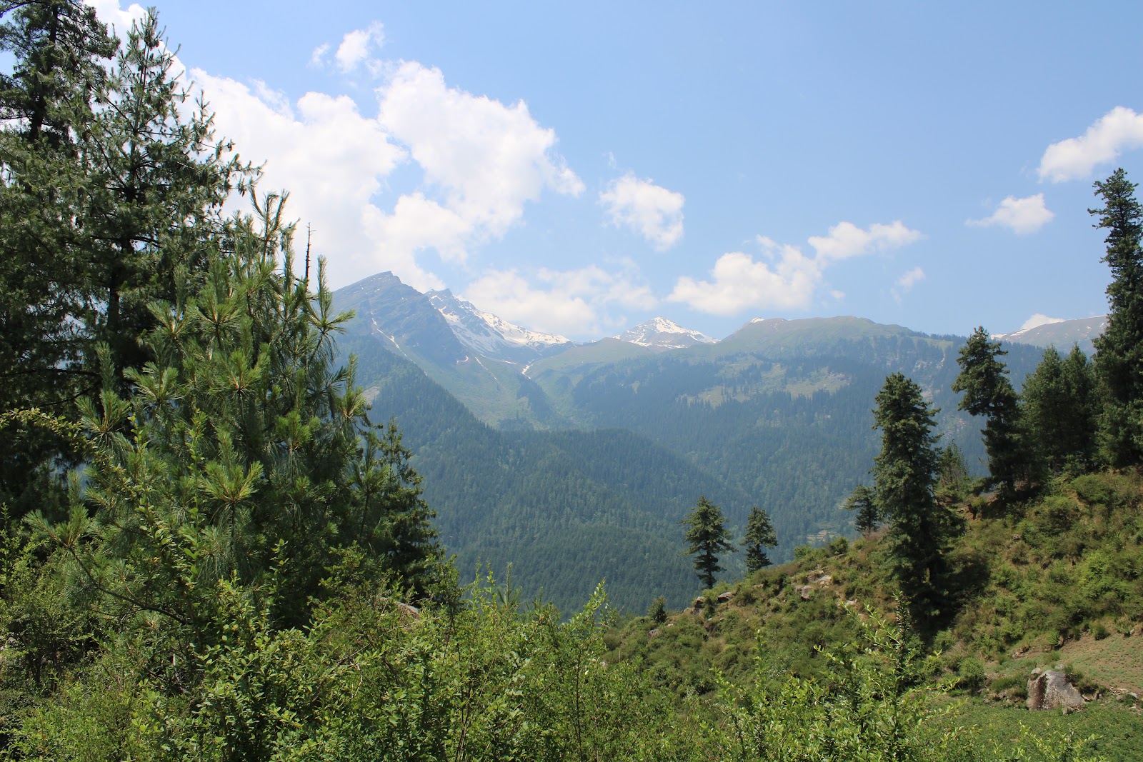 Bhuntar