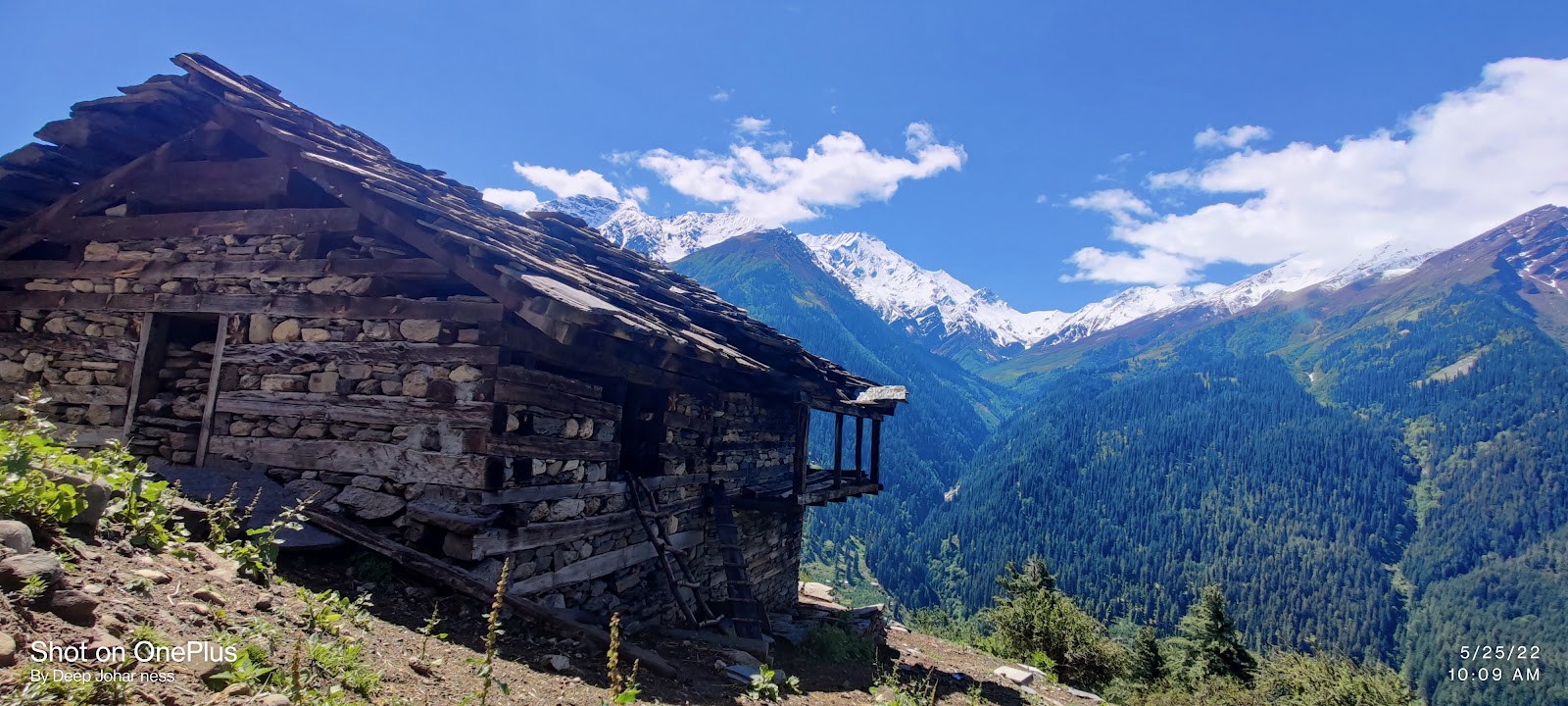 Bhuntar