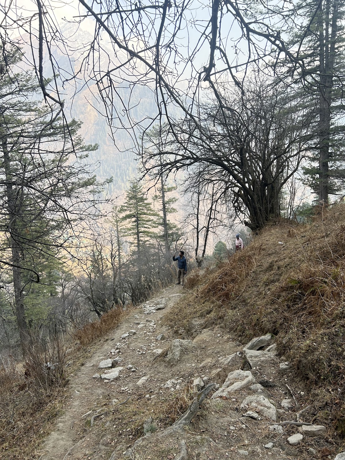 Bhuntar