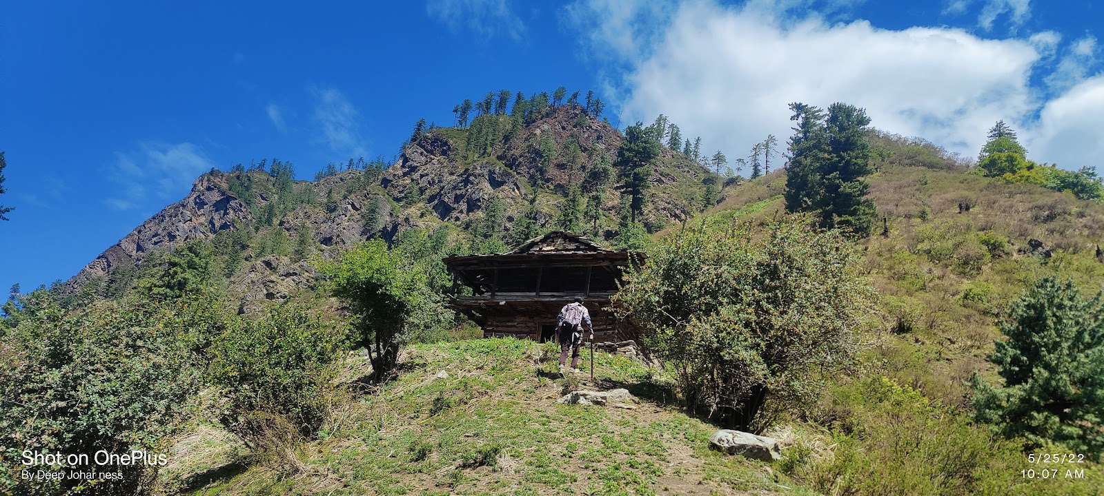 Bhuntar