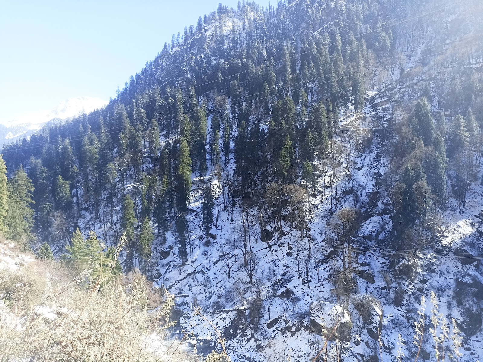 Bhuntar