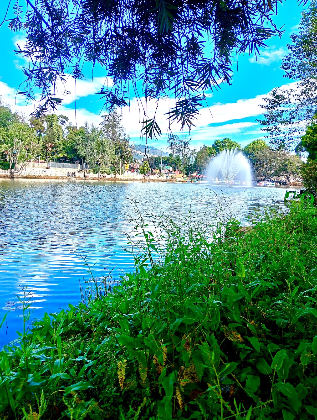 Kodaikanal Lake