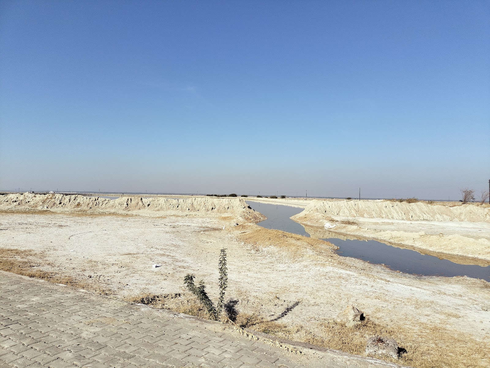 Sambhar Salt Lake