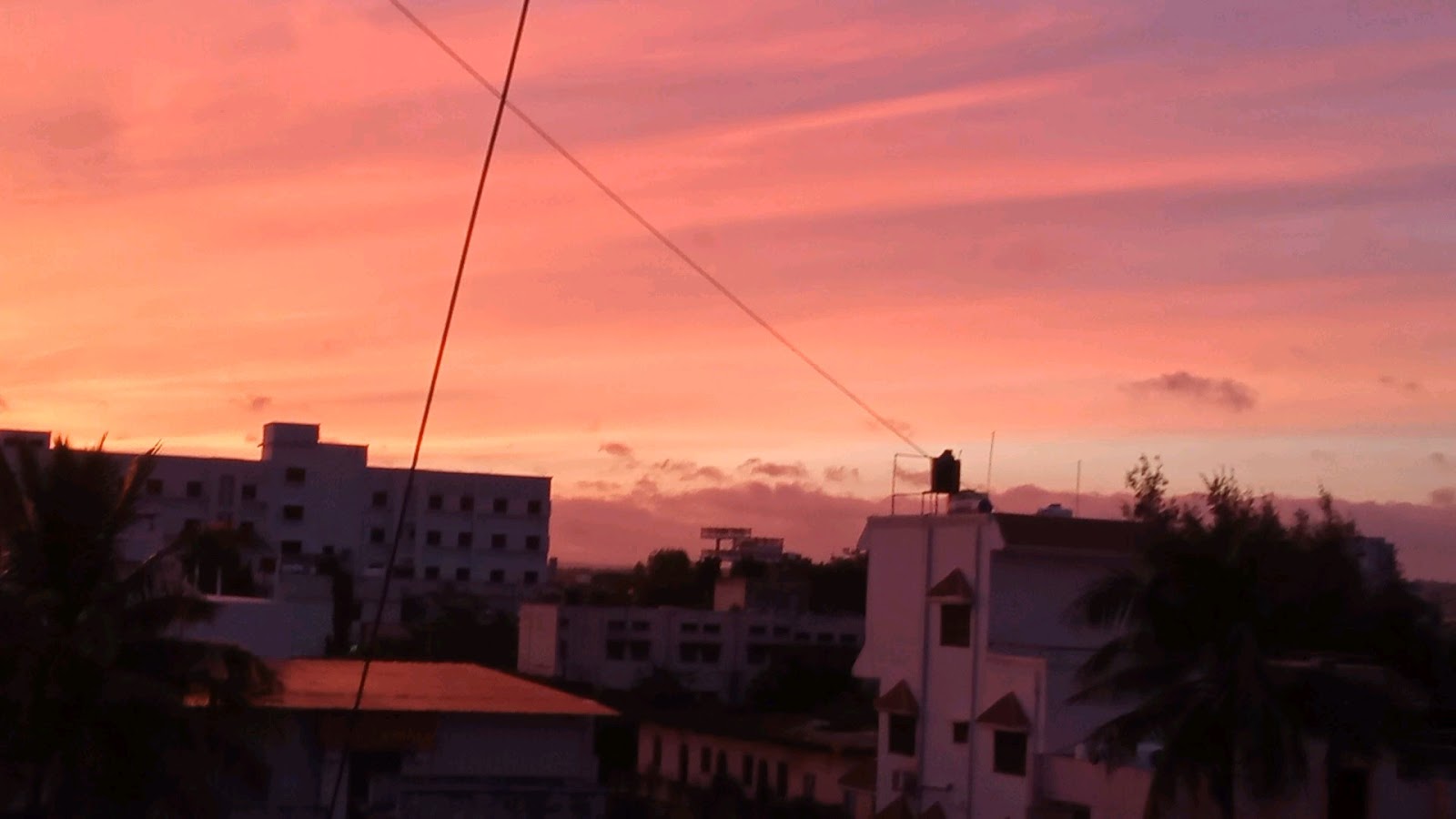 Municipal Garden Beed