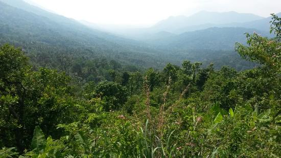 Kottancheri Hill Station