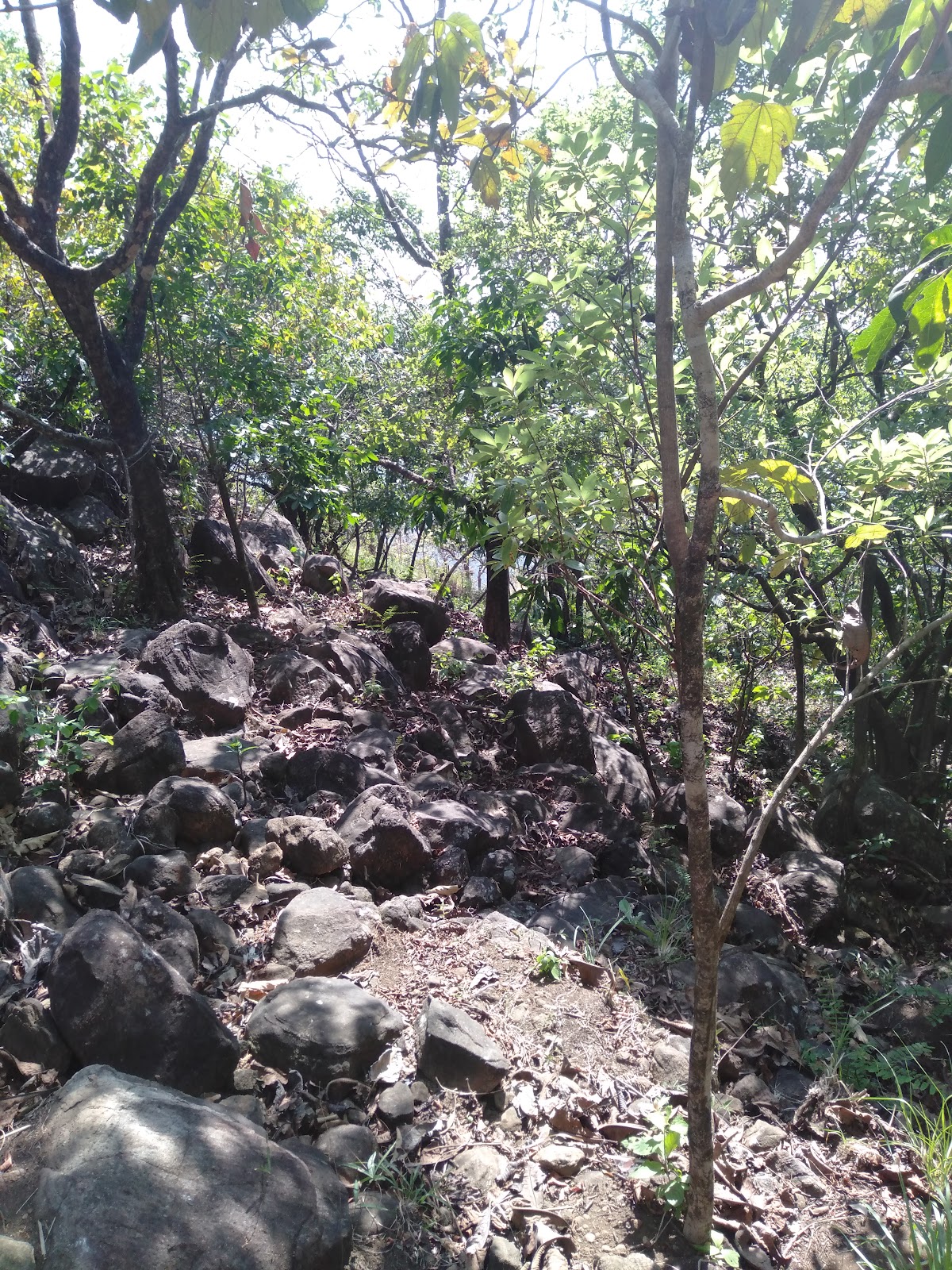 Kottancheri Hills