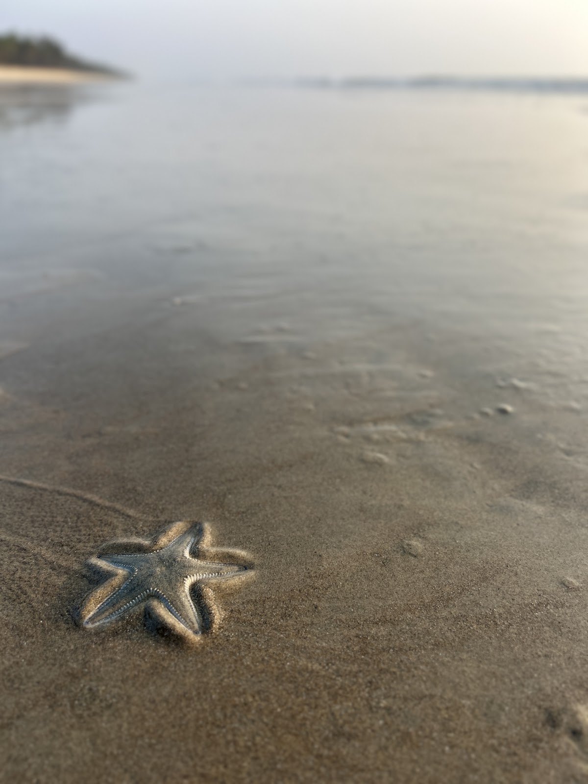 Valiyaparamba Backwaters