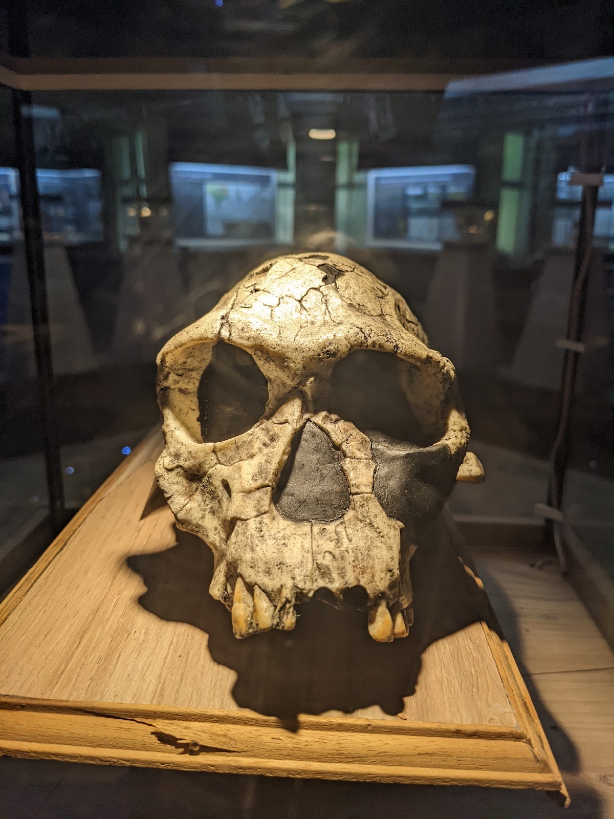 Bellary Revenue Museum