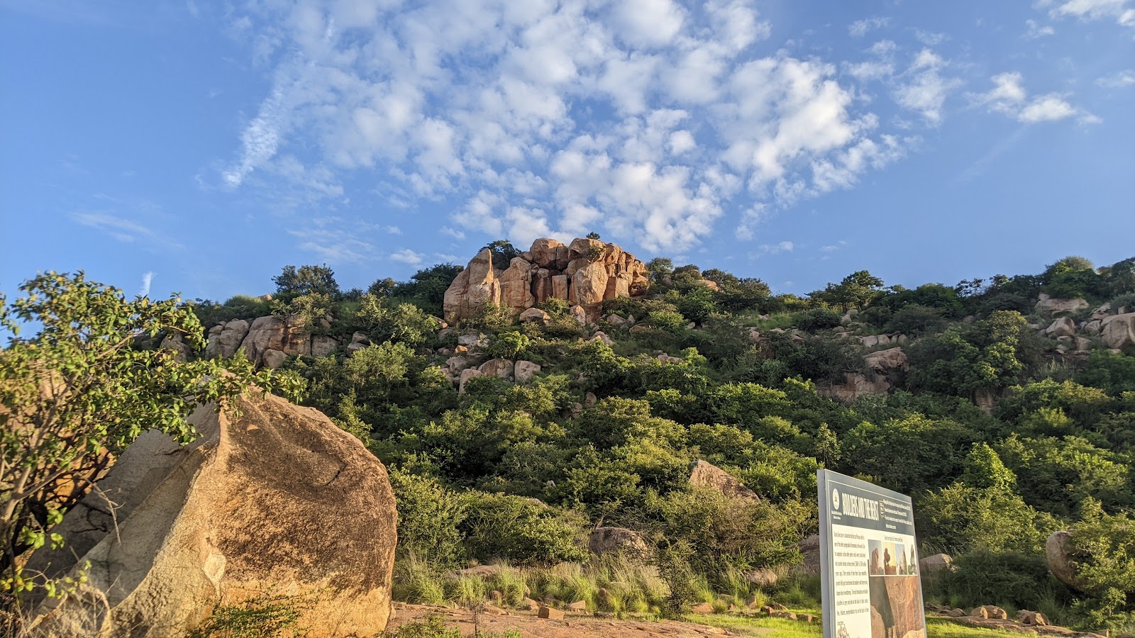 Daroji Sloth Bear Sanctuary